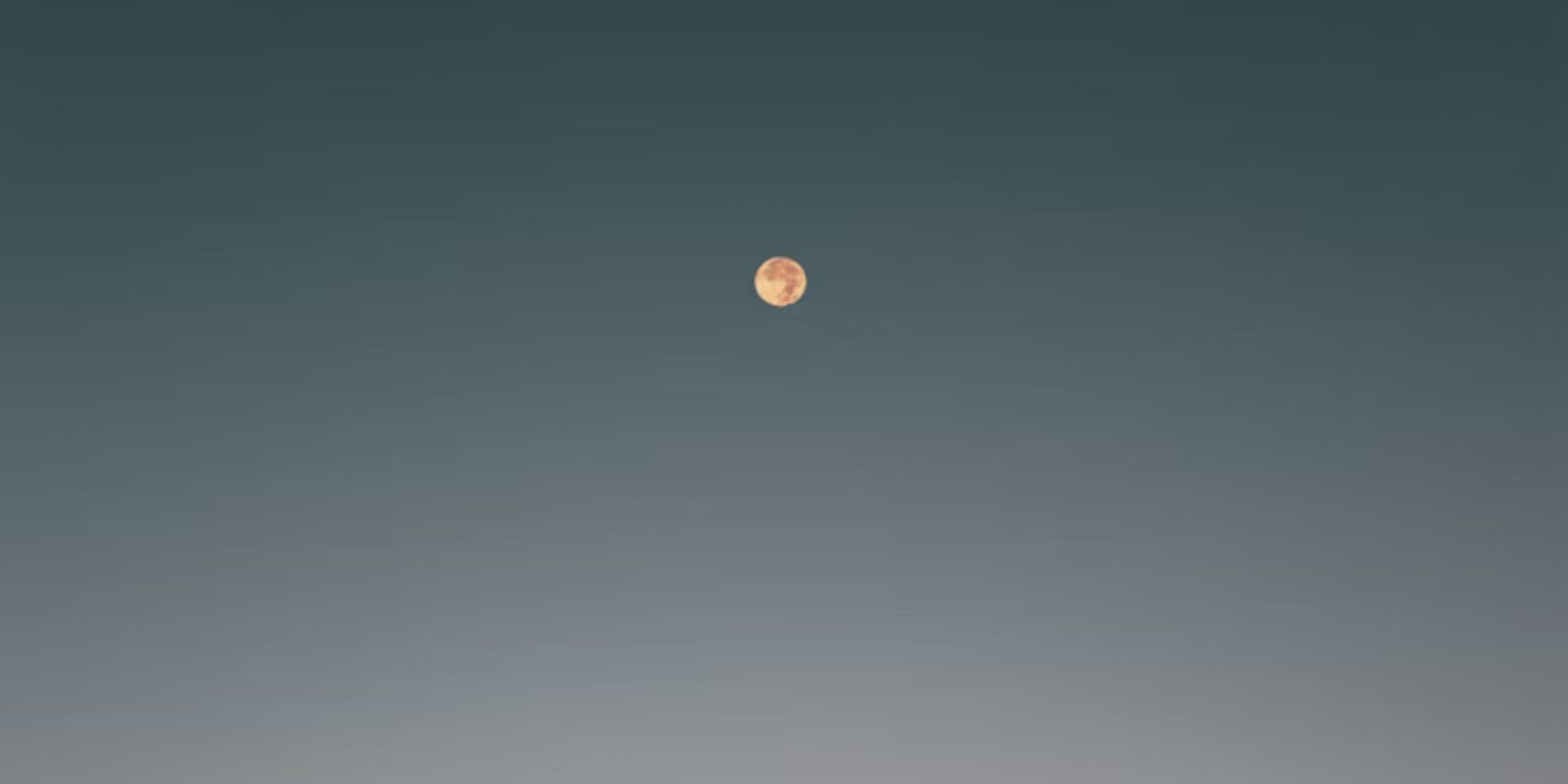 6ihge208rdyathawsr4yrxwmh4-6302daf9.jpg