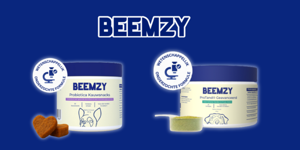 beemzy-named-best-science-backed-dog-supplement-brand-in-europe-2026-launches-preventative-pet-health-solutions--1024x512.png