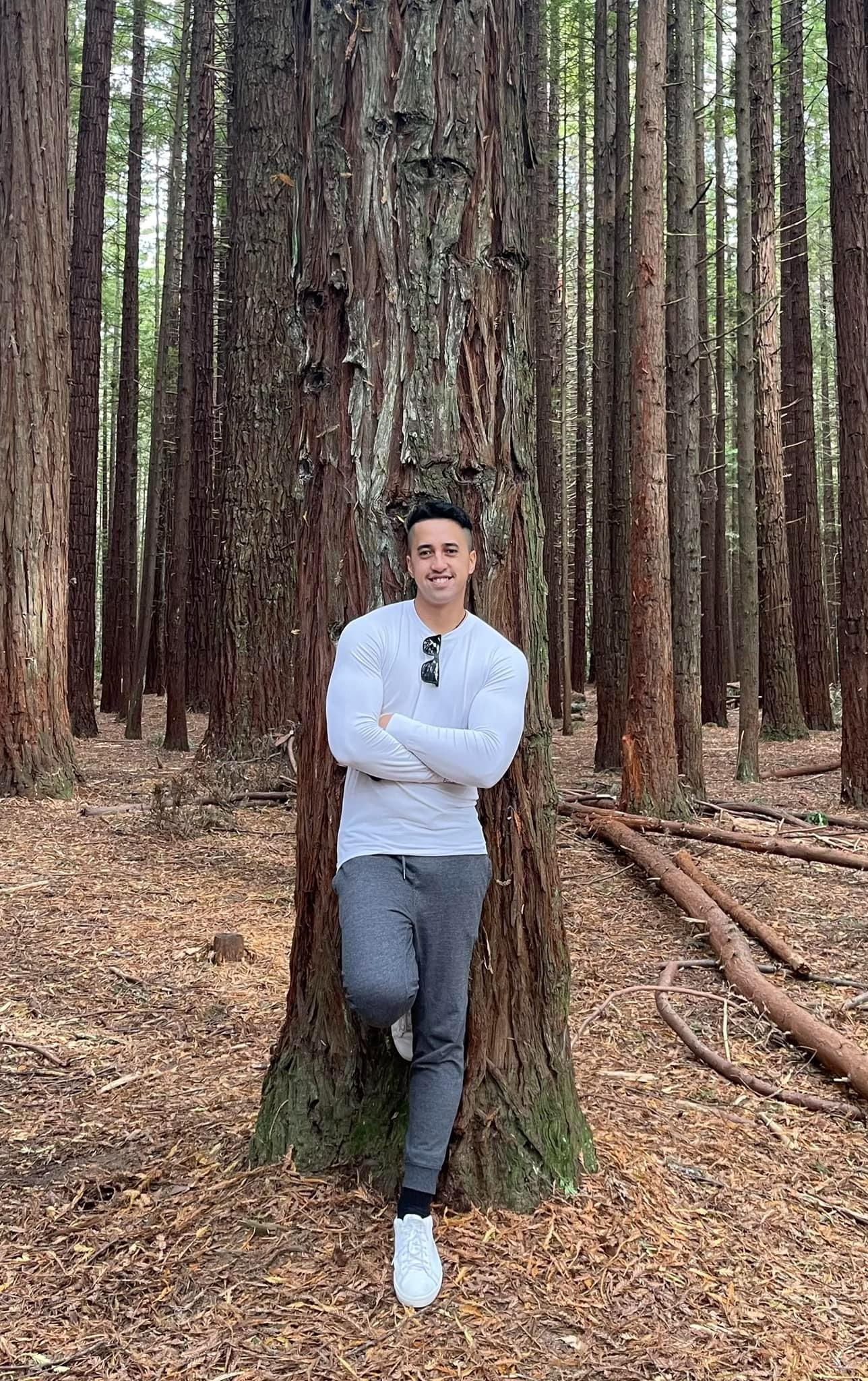 Person leaning against a large tree in a forest with tall redwood trees