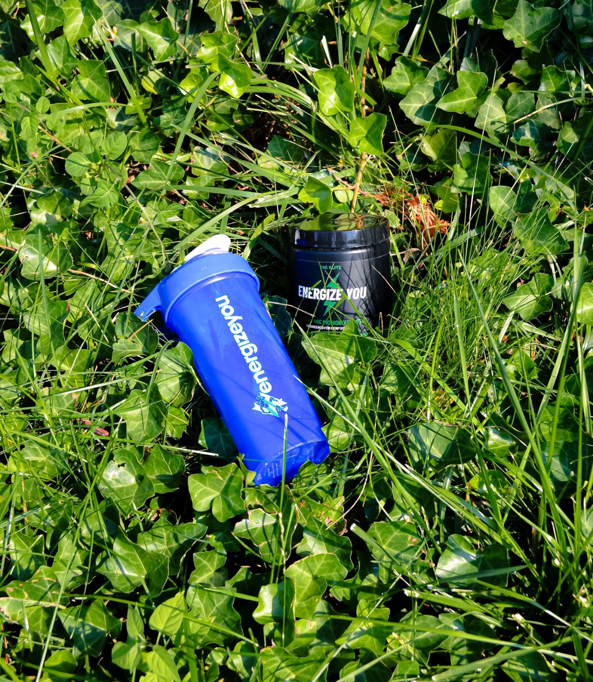Blue sports bottle and black container on green grass with ivy leaves
