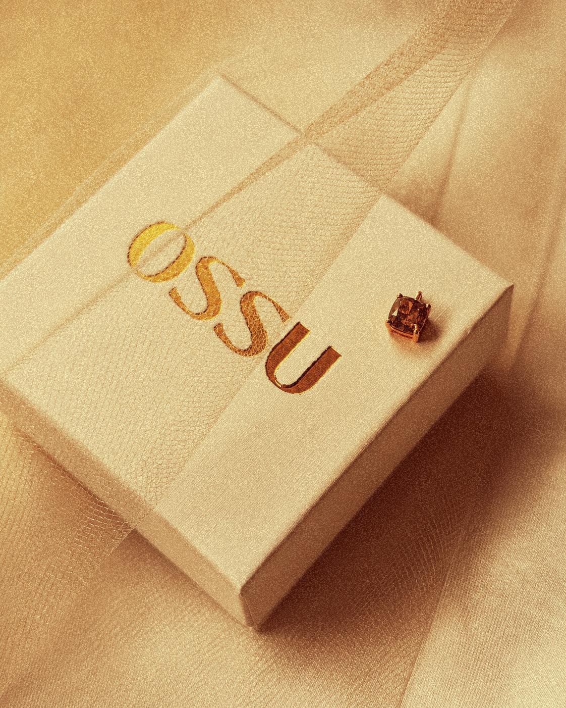 Elegant gift box with "OSSU" logo and a small gemstone earring on fabric.