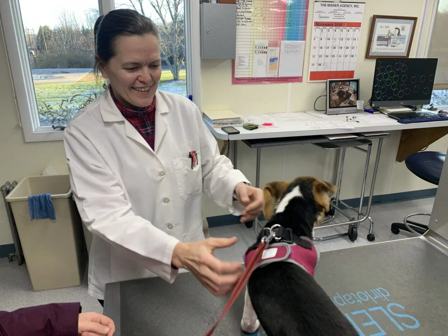 Veterinarian examining a small dog in a clinical setting with a friendly smile