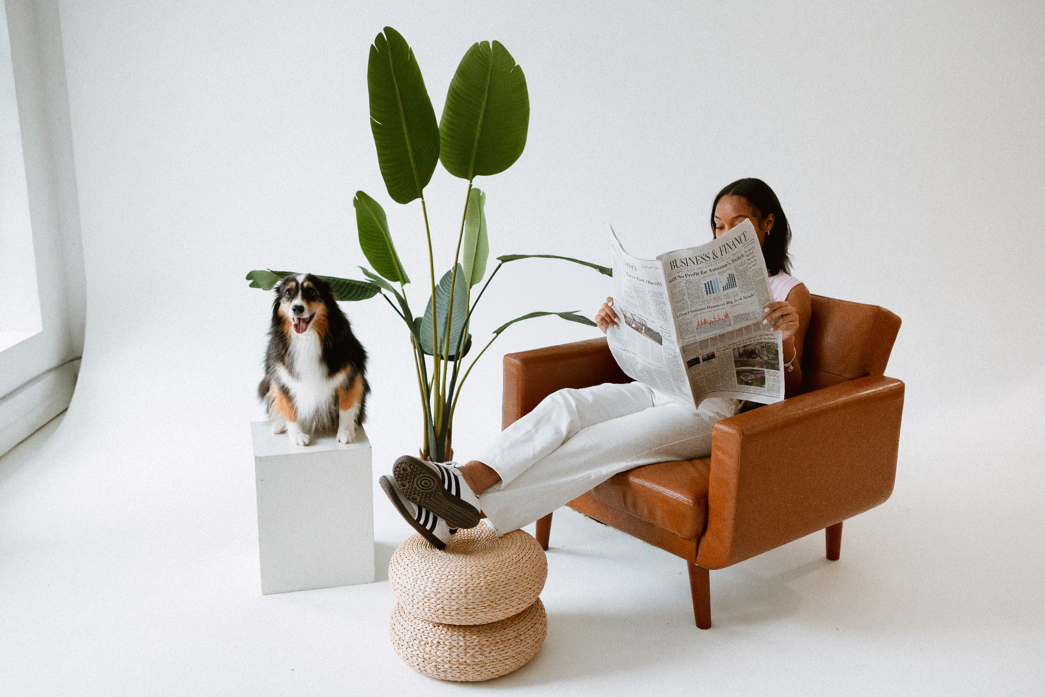 Person reading a newspaper in a chair with a dog and plant nearby