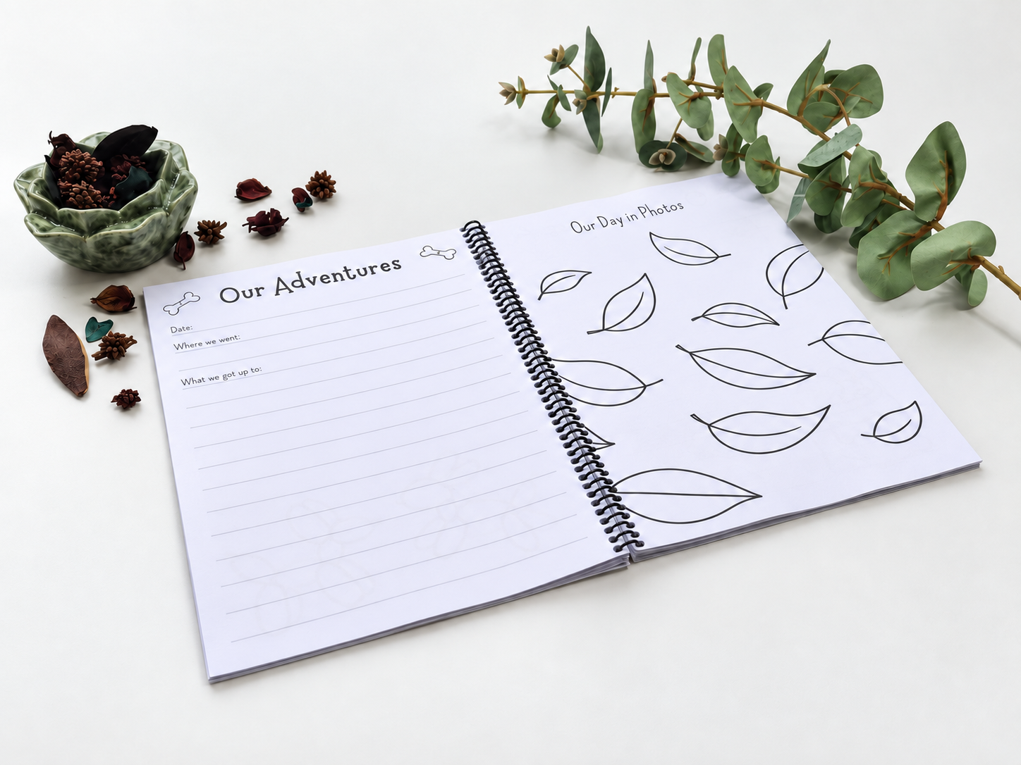 Open adventure journal with blank pages and decorative leaves, surrounded by nature elements