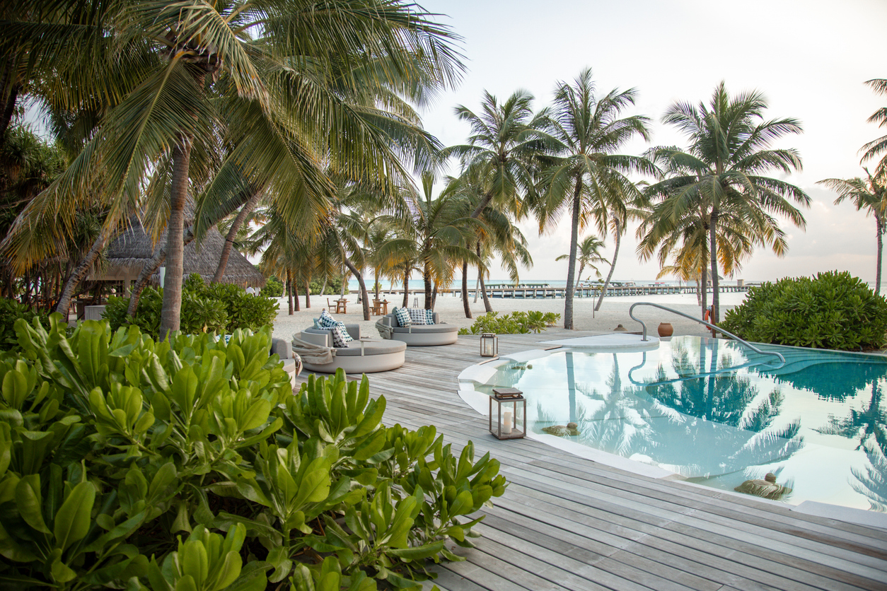 Tropical beach resort featuring palm trees, a pool, and lounge seating by the water
