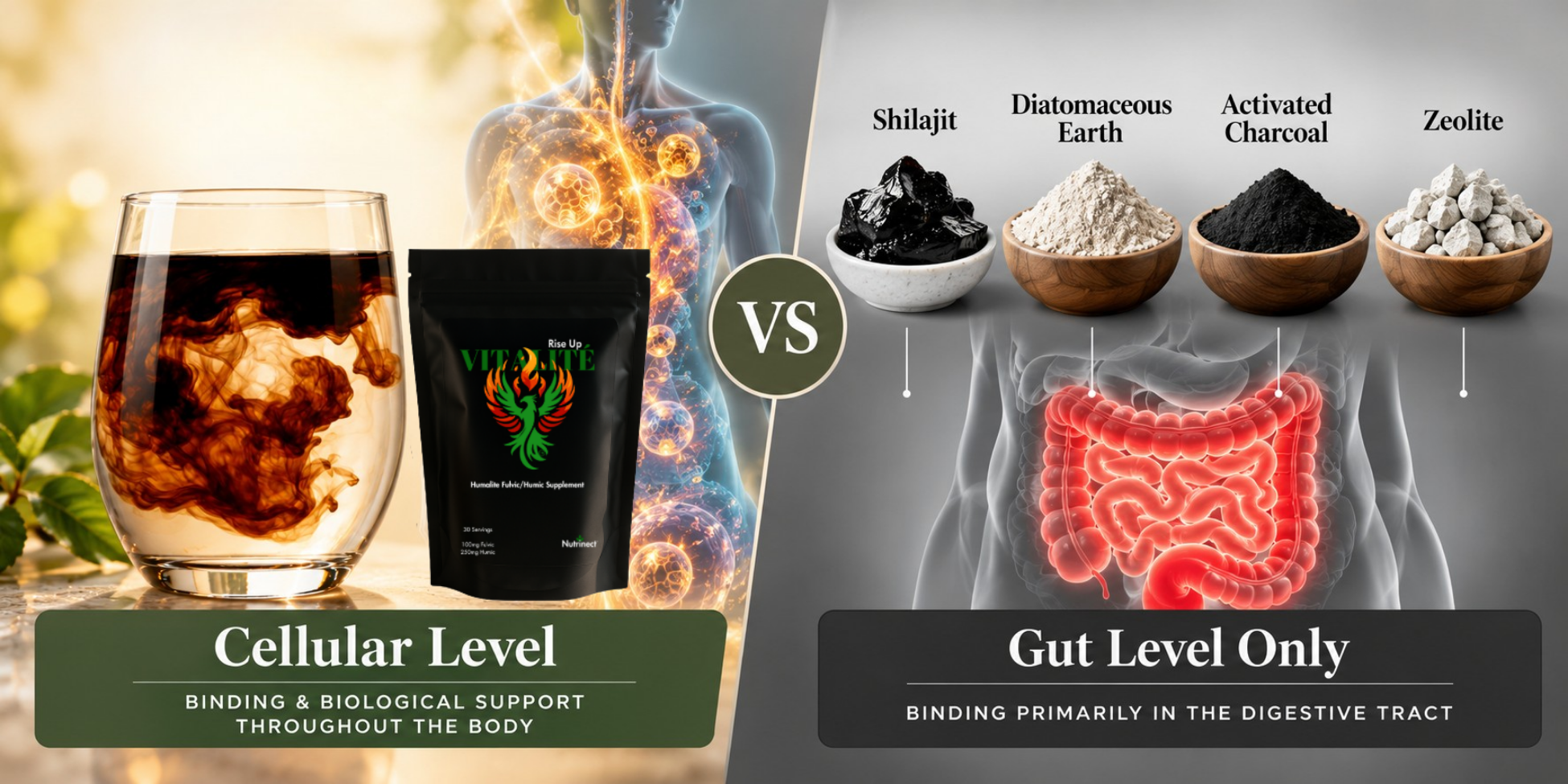 Comparison of detox products highlighting cellular level versus gut level support