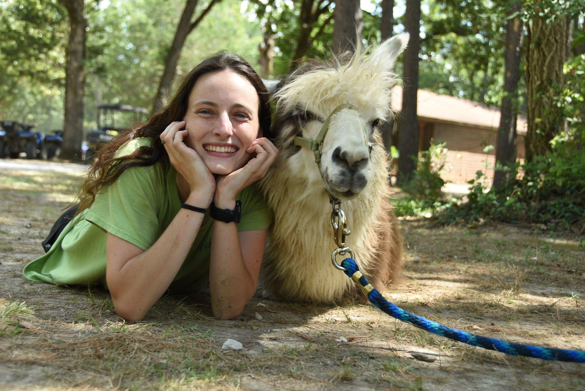 A person lies on the ground beside a llama in a wooded area.