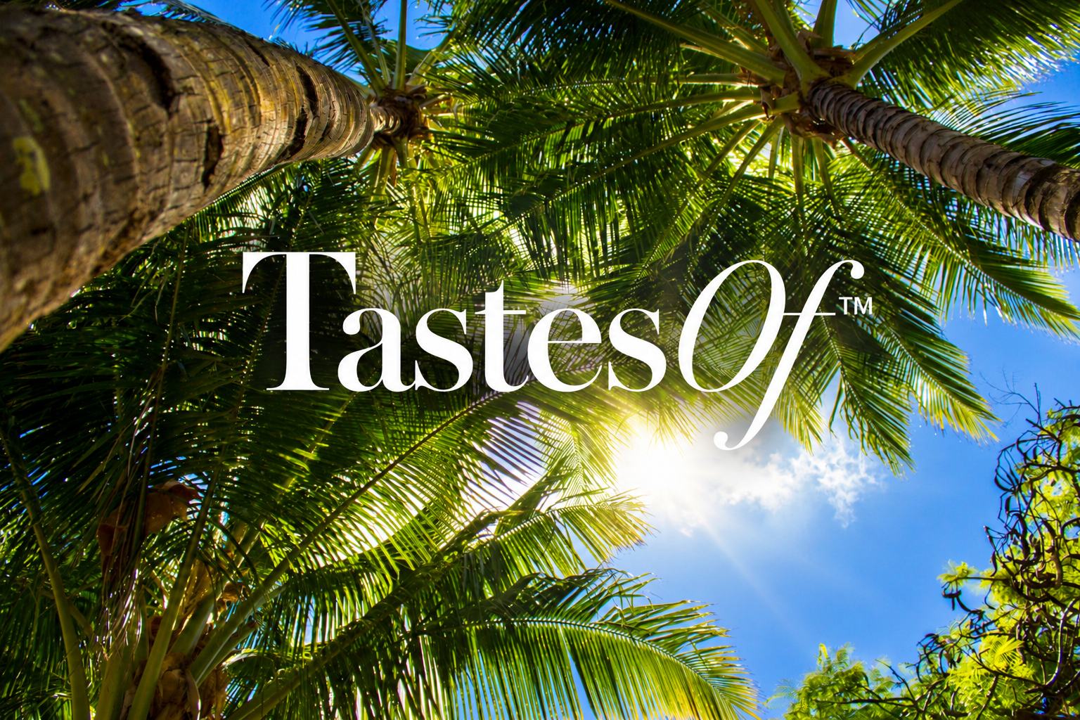 Sunlight shines through palm trees with the text “TastesOf” superimposed on the image