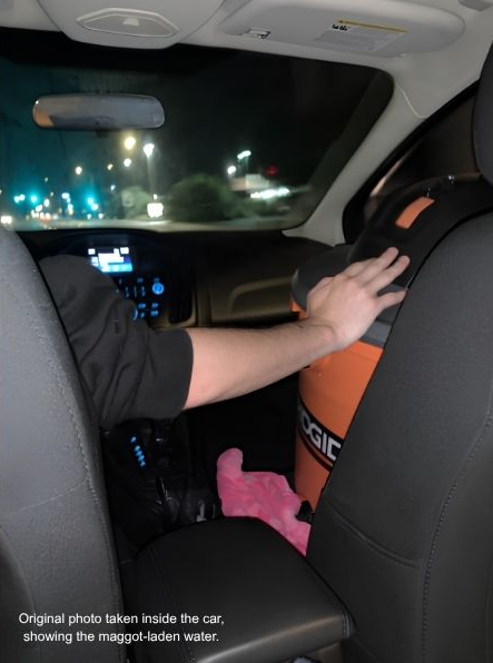 Interior of a car with a hand reaching for a cooler beside maggot-infested water