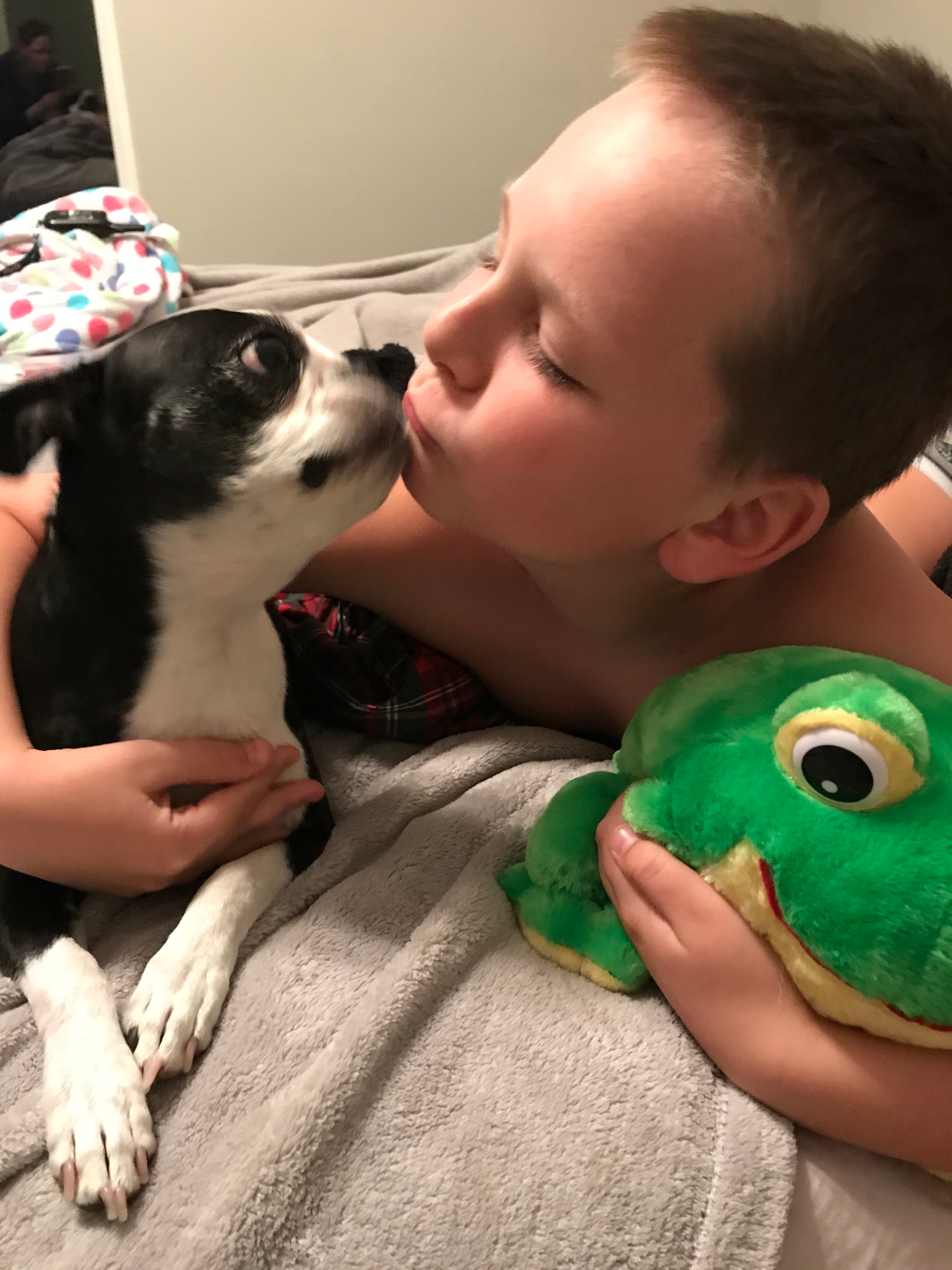 A boy kisses a small dog while holding a plush frog toy