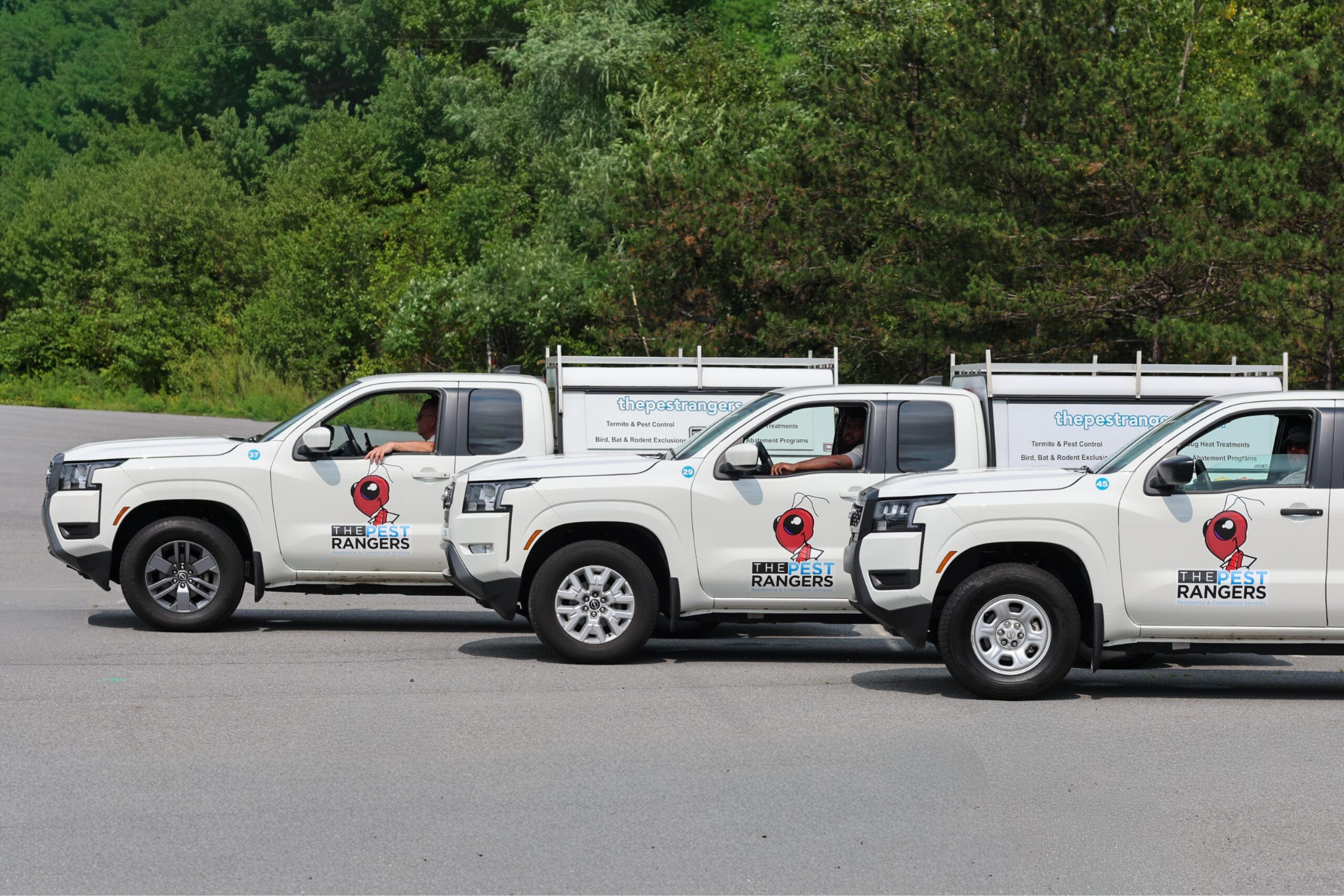 Three white pickup trucks displaying "Rangers" logos parked in a row outdoors