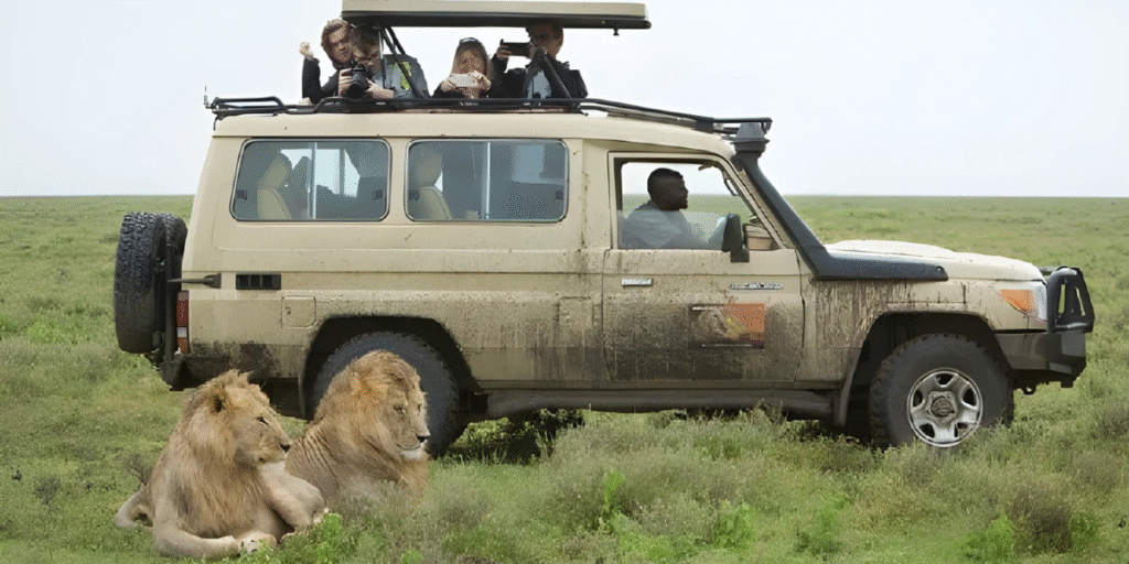 download-2-65-1024x512.png