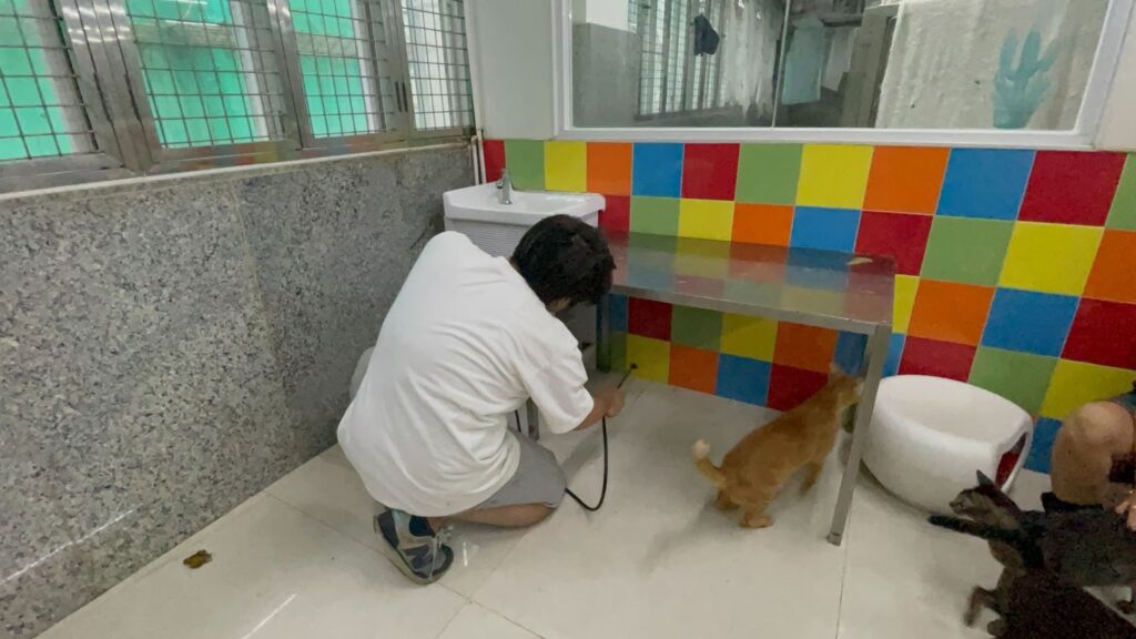 dr.-gracia-chans-pet-safe-pest-control-a-revolution-in-animal-friendly-solutions-1-1-1024x576.jpeg