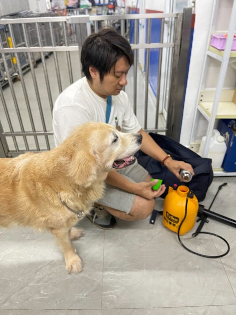 gcc-green-concept-control-revolutionizing-pet-safe-pest-control-in-asia--768x1024.jpeg