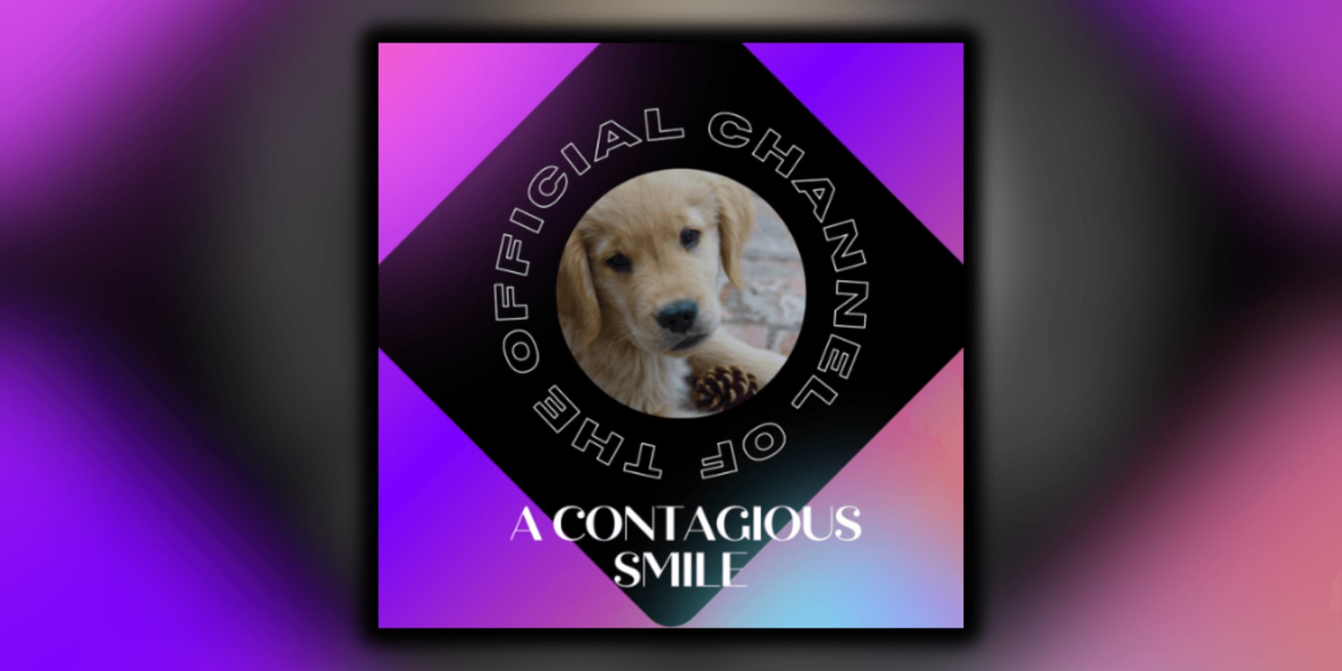 ibmgujaohxdqexxgf3oz8totukq-89c214c5.jpg