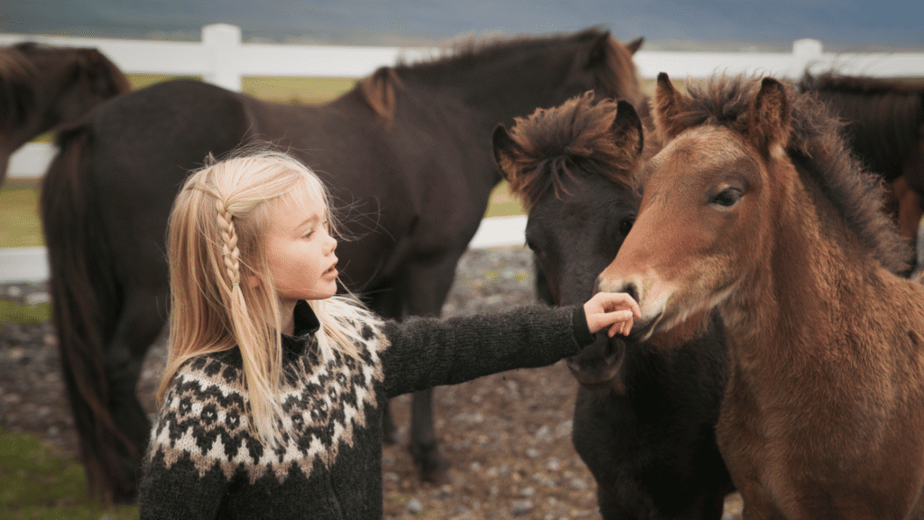 icelandic-horse-1024x576.png