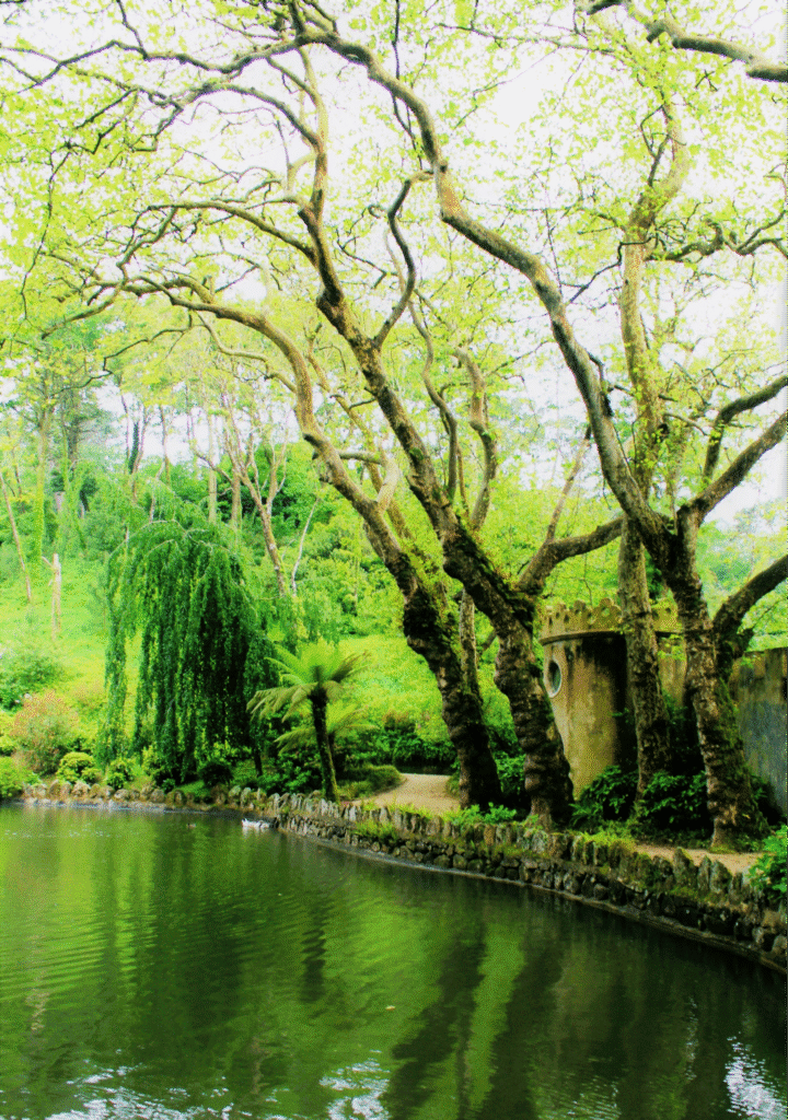 image-6-720x1024-04af5574.png