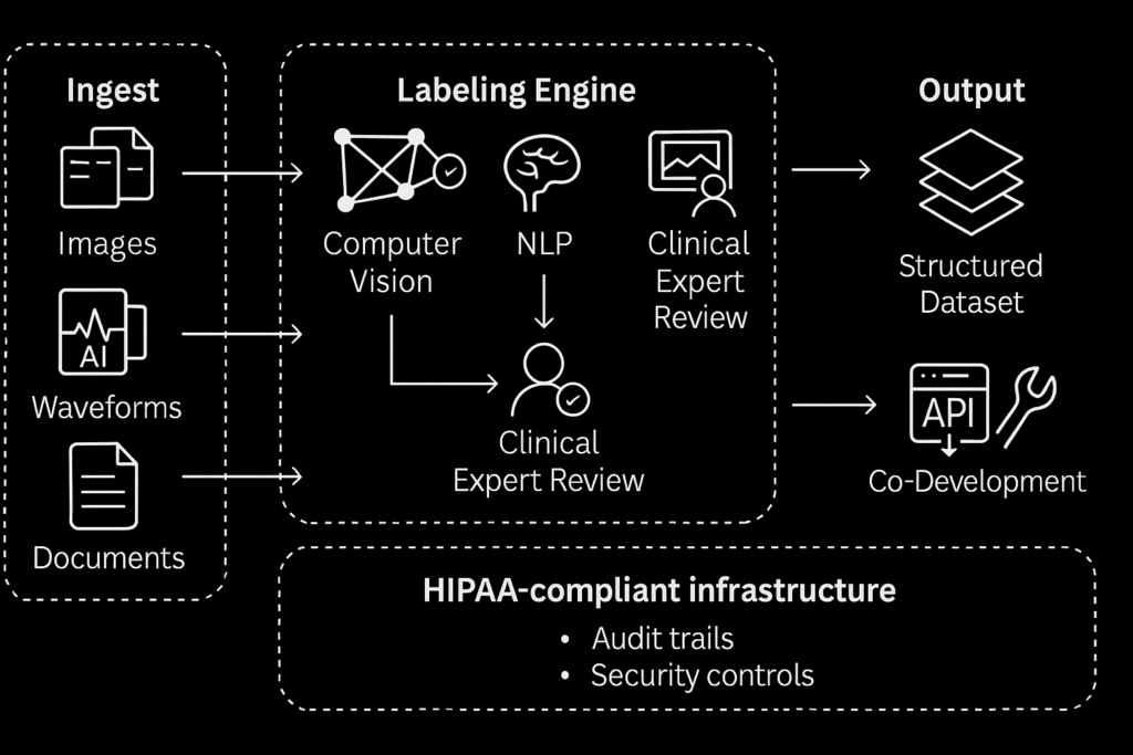 inside-syauctus-ai-the-company-tackling-healthcares-biggest-bottlenecks--1024x683.png