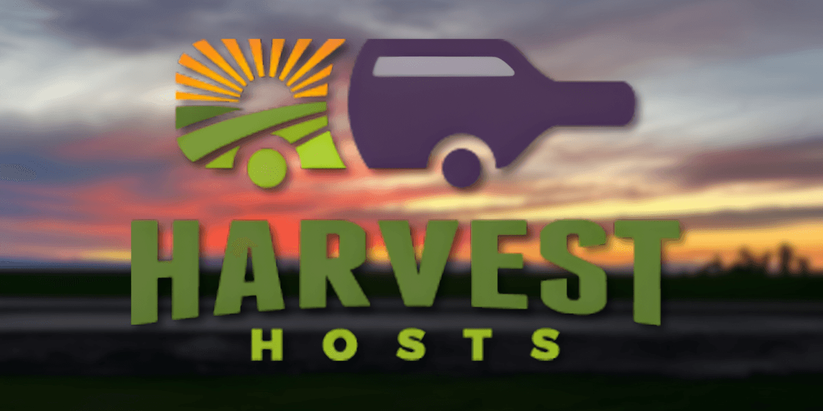 jltsc2a8t0slnms9jxoevkw6tm-1fbae951.png