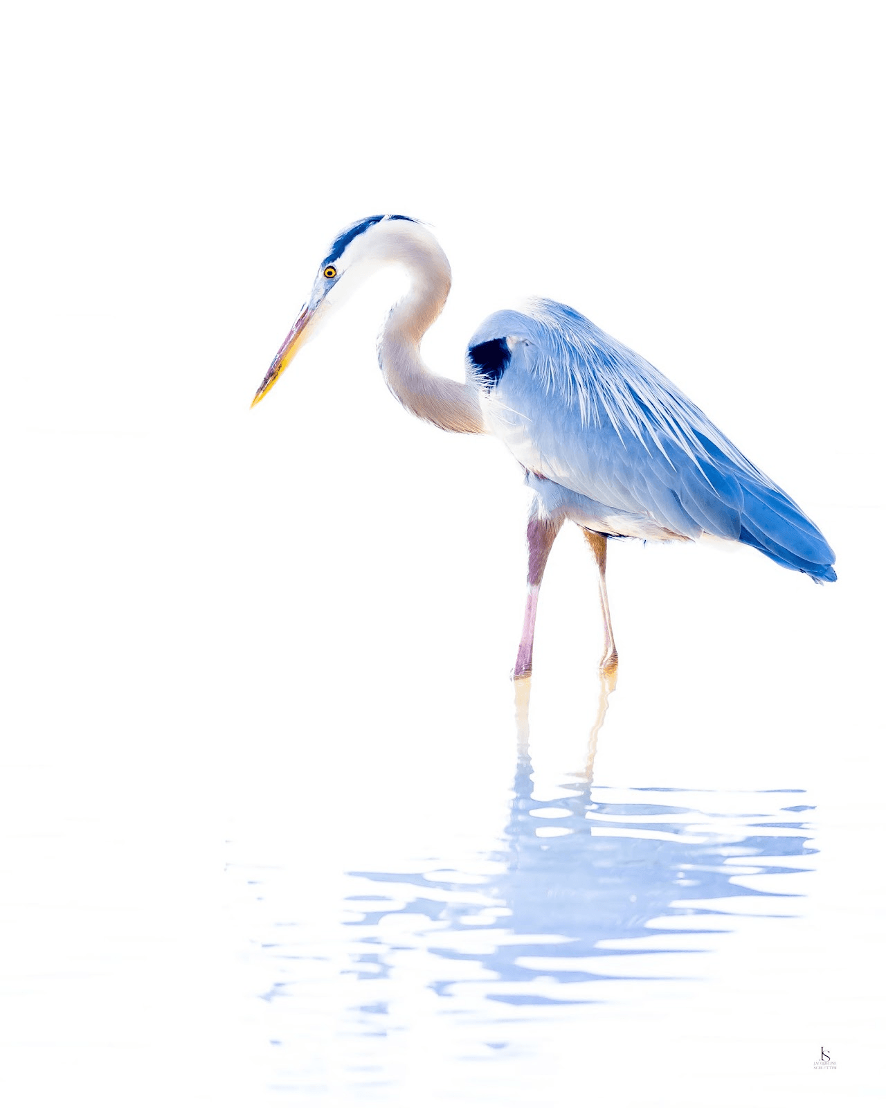 lwugxonucsckkccgj3tiw4dcqo-717c8e93.png