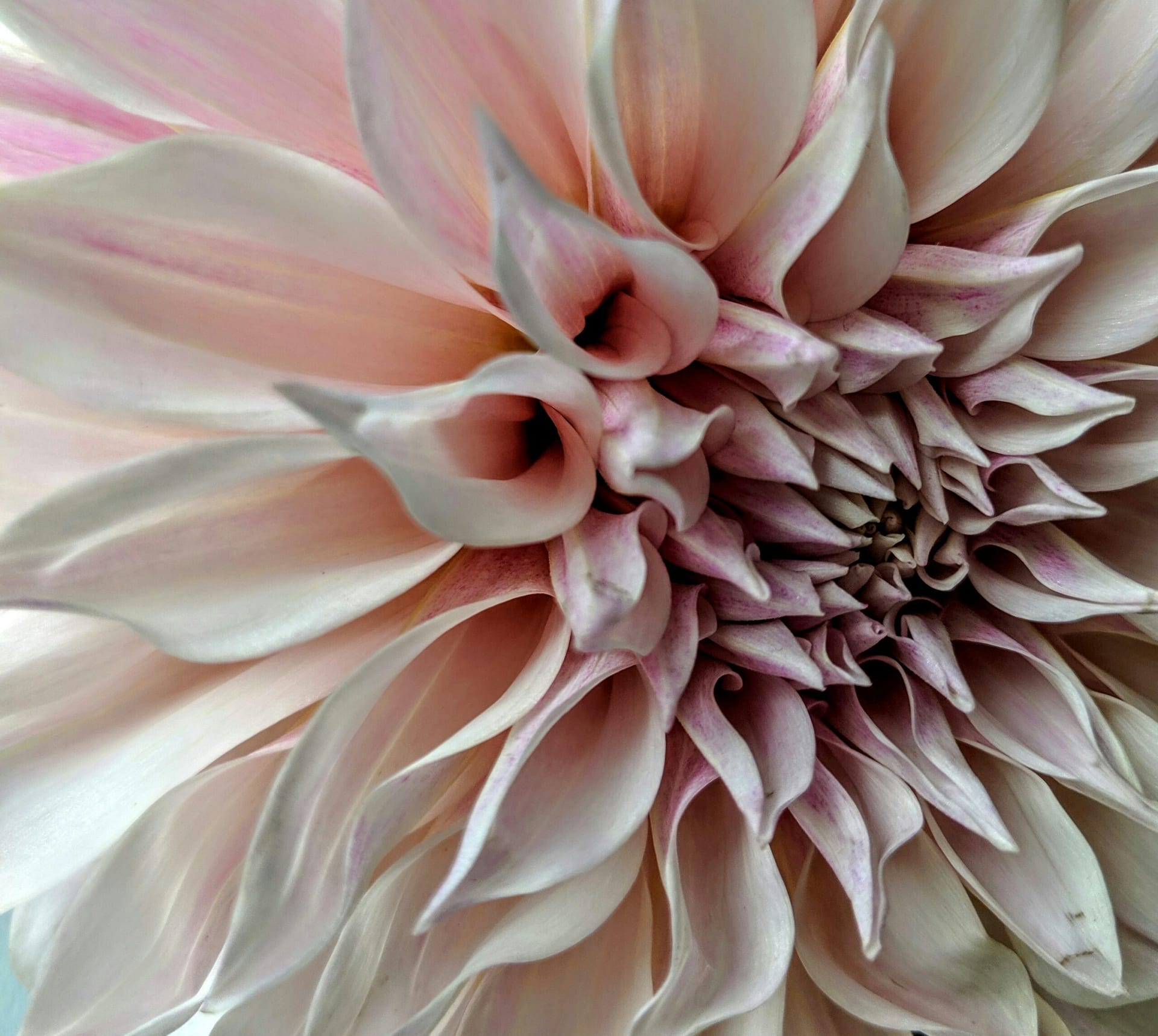 na-image-editing-1-scaled-0b4bc58f.jpg