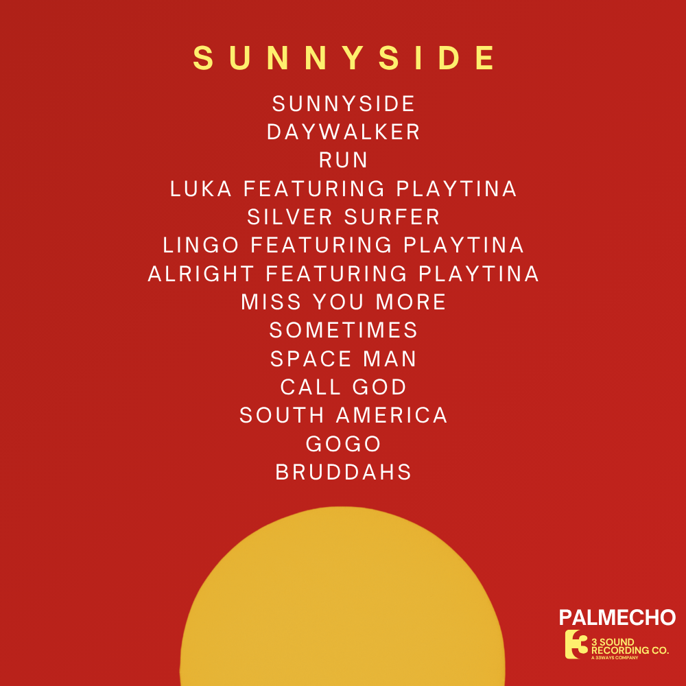 palmecho-is-building-cinematic-afrofusion-worlds-in-a-single-driven-era-.png
