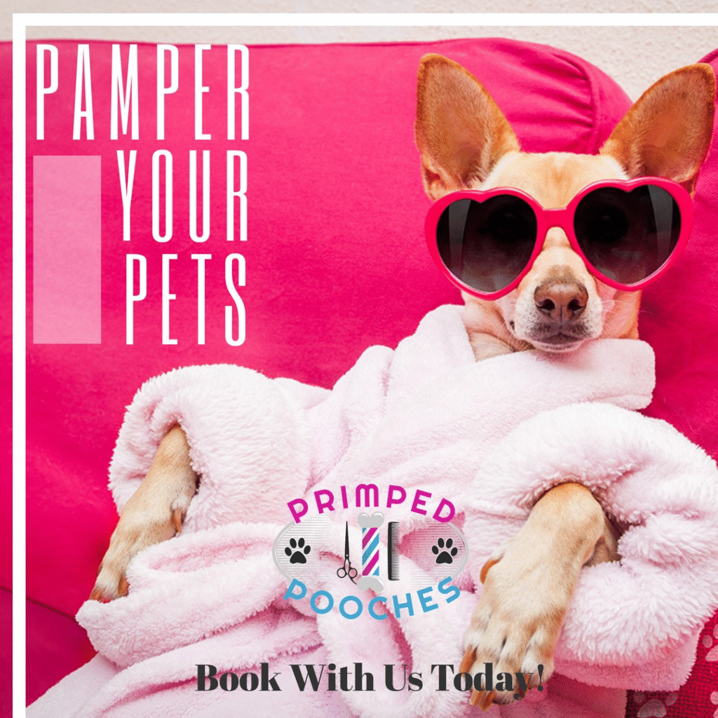 primped-pooches-the-north-texas-mobile-dog-spa-revolutionizing-pet-grooming--1024x1024.png