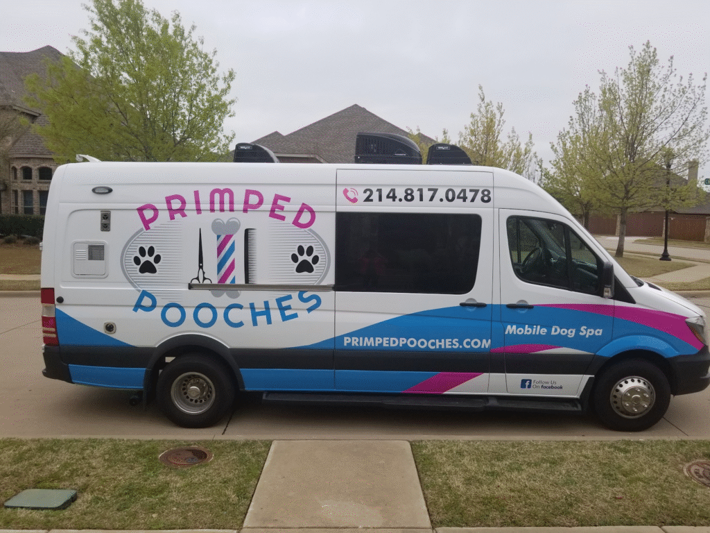 primped-pooches-the-north-texas-mobile-dog-spa-revolutionizing-pet-grooming.--1024x768.png