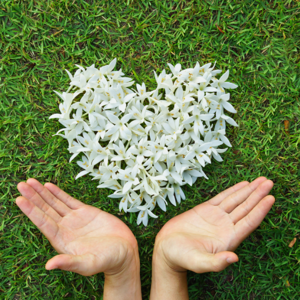 reclaim-your-peace-the-transformative-power-of-awakening-with-seeds-of-bliss-.png