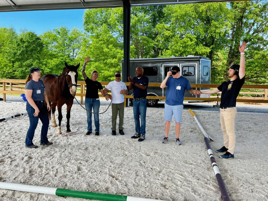 unleash-leadership-potential-this-fall-with-dreamwinds-equine-assisted-team-building--1024x767.png
