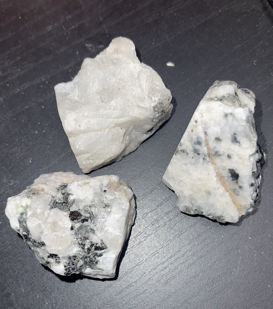 unnamed-10-e1739371590604-compressed-1.jpg