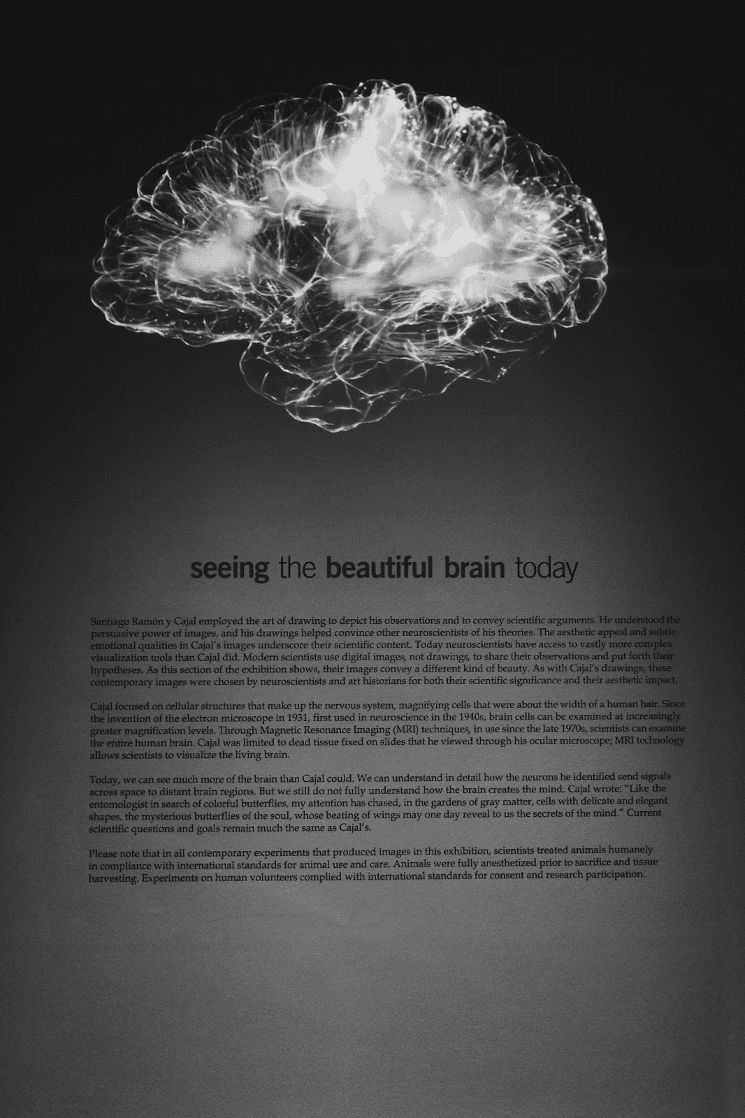 xbhznnqyhgnq4xitojqabvknt4-63640282.png