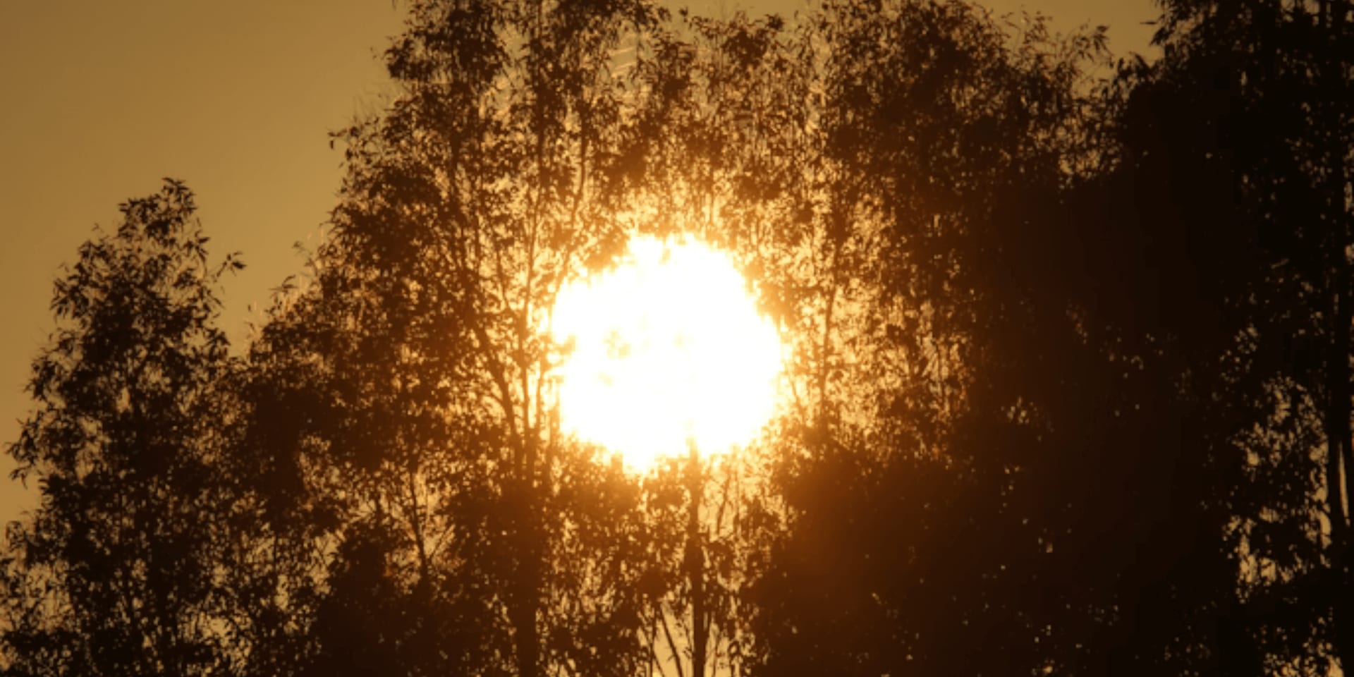 xbx9tfloksxhlh9iinlzwdpzbky-12f591d7.jpg
