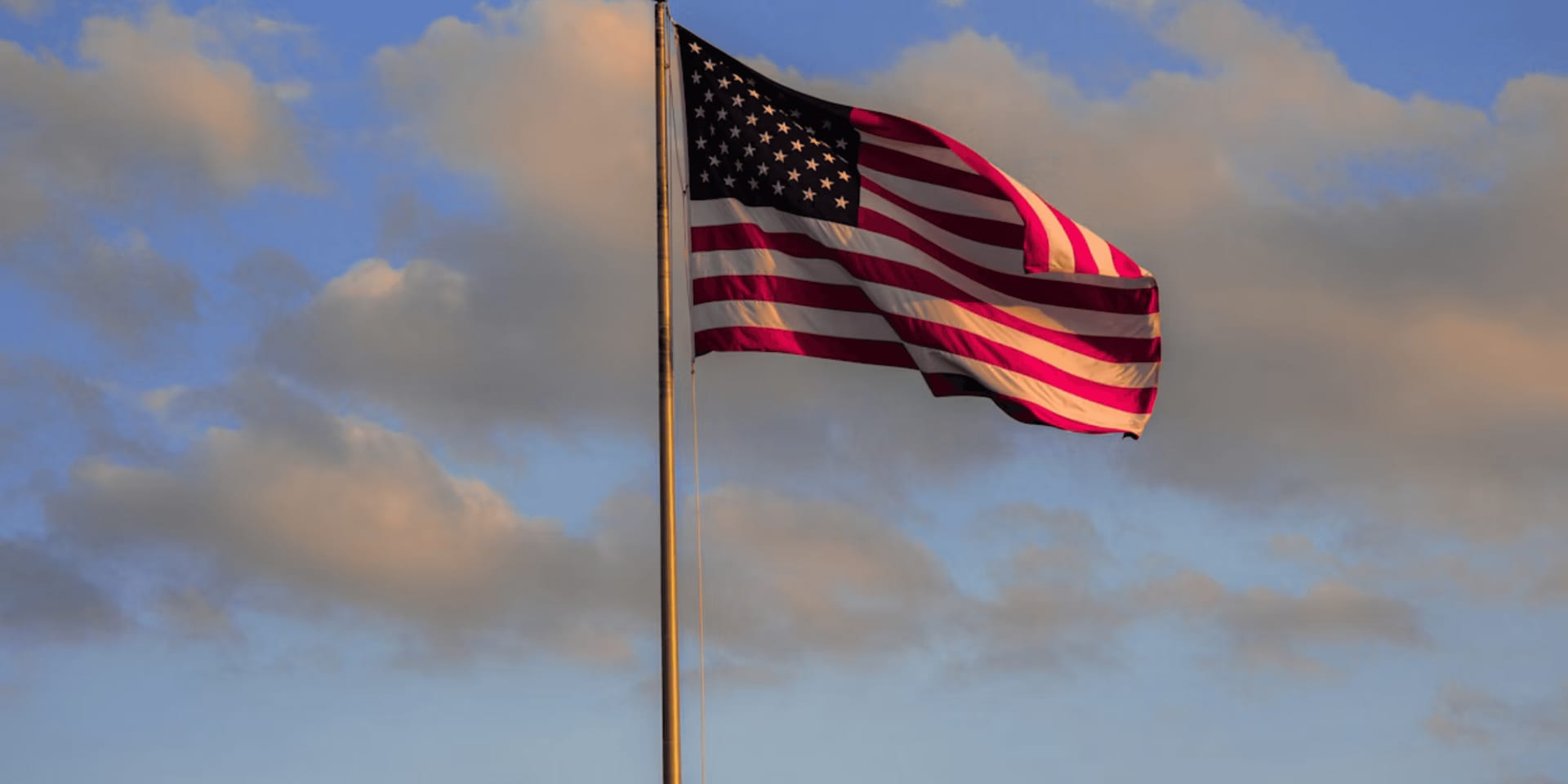 ys0vitipxlxfs470ltpcjzwyd4-3844bd1f.jpg